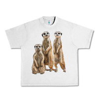 Lunar Rock 3 meerkat Urban Heavy Tee - LillyAllenDesigns