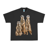 Pigment Black 3 meerkat Urban Heavy Tee - LillyAllenDesigns