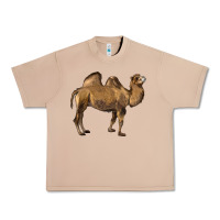 Burro Camel Urban Heavy Tee - LillyAllenDesigns