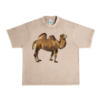 French Oak Camel Urban Heavy Tee - LillyAllenDesigns
