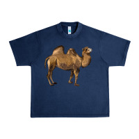 Navy Camel Urban Heavy Tee - LillyAllenDesigns
