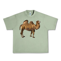 Oil Green Camel Urban Heavy Tee - LillyAllenDesigns