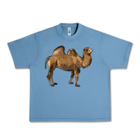 Pebble Blue Camel Urban Heavy Tee - LillyAllenDesigns