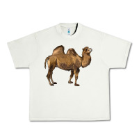 Pistachio Camel Urban Heavy Tee - LillyAllenDesigns