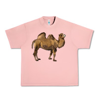 Salmon Camel Urban Heavy Tee - LillyAllenDesigns