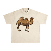 Sandshell Camel Urban Heavy Tee - LillyAllenDesigns