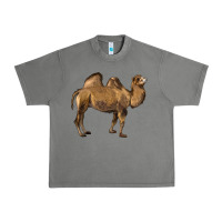 Tornado Camel Urban Heavy Tee - LillyAllenDesigns