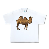 White Camel Urban Heavy Tee - LillyAllenDesigns