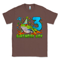 Chestnut birthday boy frog age 3 Classic Tee - LillyAllenDesigns