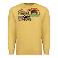 Antique Gold Level 29 Unlocked Premium Sweatshirt - Bettercallsaul