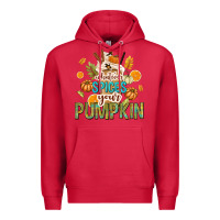 Cardinal Whatever Spices Your Pumpkin Premium Hoodie - texasbilliewilder