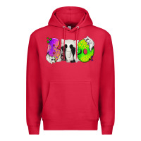 Cardinal Boo Ghost Cat Premium Hoodie - texasbilliewilder