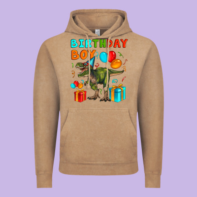 Birthday Boy T Rex Vintage Hoodie Designed By Artiststas
