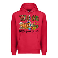Cardinal Teaching Little Pumpkins Premium Hoodie - texasbilliewilder