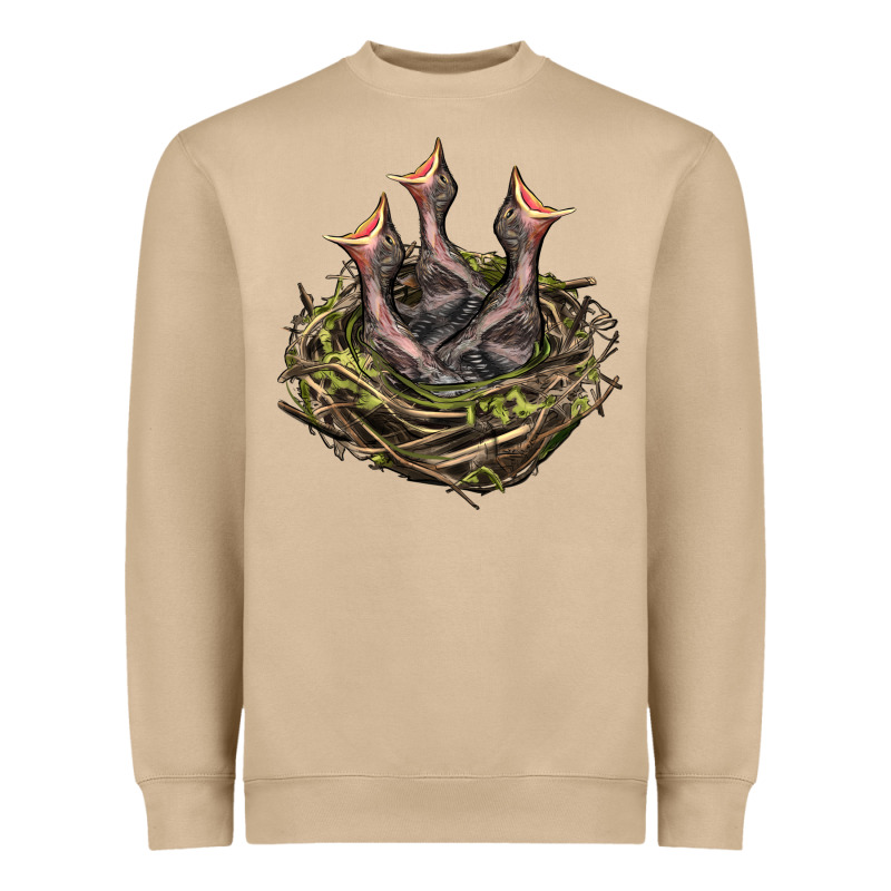 Bird Nest With Baby Birds Heavyweight Sweatshirt by LillyAllenDesigns | Teevron