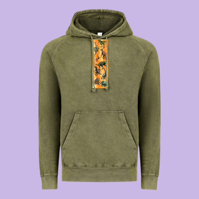 Dinosaurs Pen Wrap Vintage Hoodie Designed By Artiststas