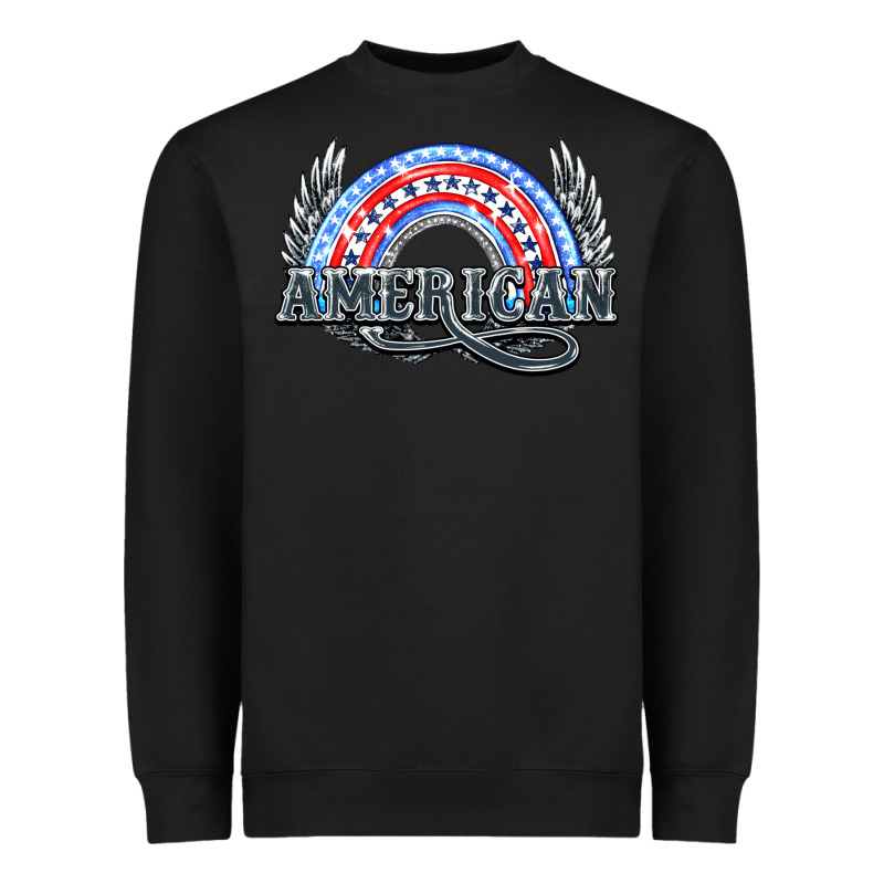 American Rainbow Heavyweight Sweatshirt by NancyCooperArtShop | Teevron