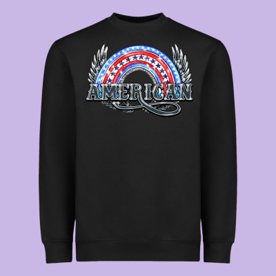 American Rainbow Heavyweight Sweatshirt Designed By Nancycooperartshop