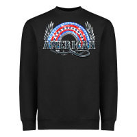 Black American rainbow Heavyweight Sweatshirt - NancyCooperArtShop