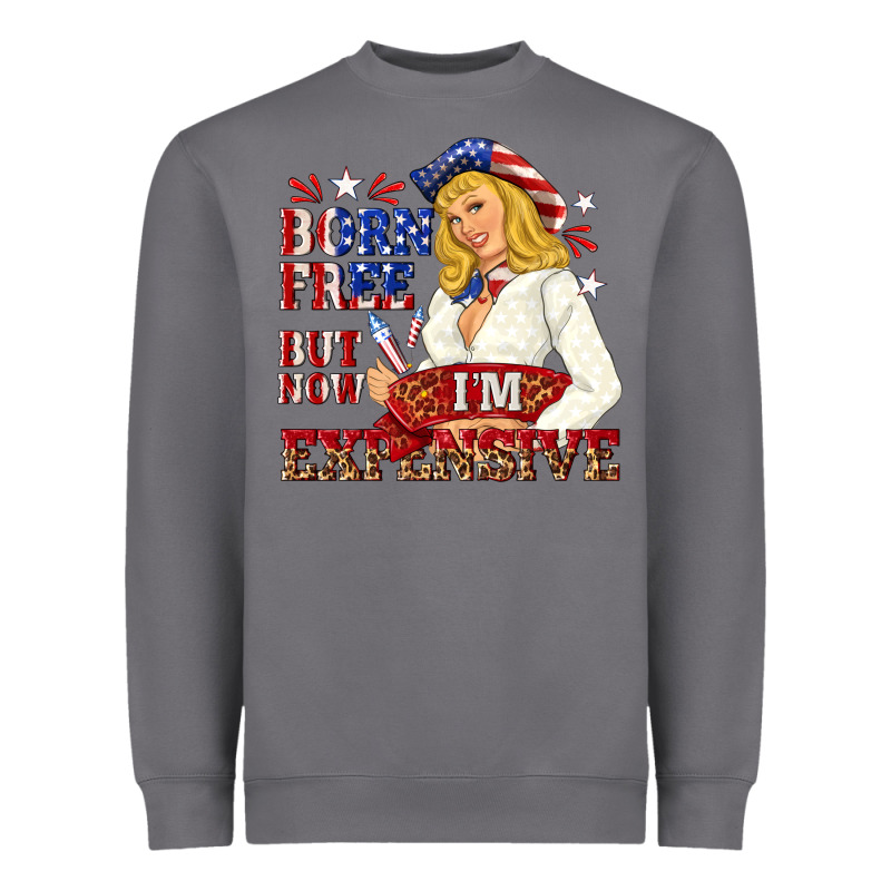 Born Free But Now Im Expensive Heavyweight Sweatshirt by NancyCooperArtShop | Teevron