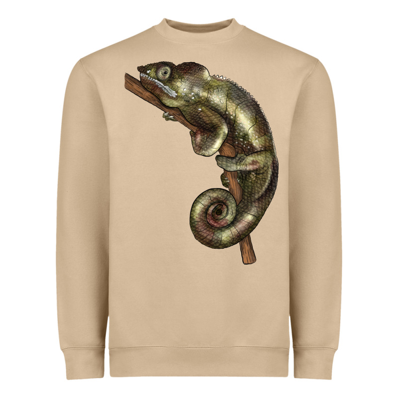 Green Chameleon Lizard Illustrations Heavyweight Sweatshirt by LillyAllenDesigns | Teevron