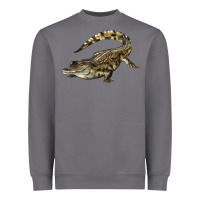 Storm crocodile Heavyweight Sweatshirt - LillyAllenDesigns