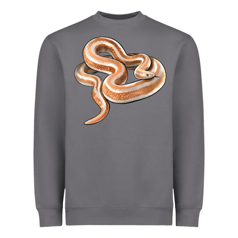 Rosy Boa Snake Illustrations Heavyweight Sweatshirt by LillyAllenDesigns | Teevron