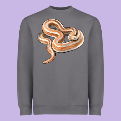 Rosy Boa Snake Illustrations Heavyweight Sweatshirt Designed By Lillyallendesigns