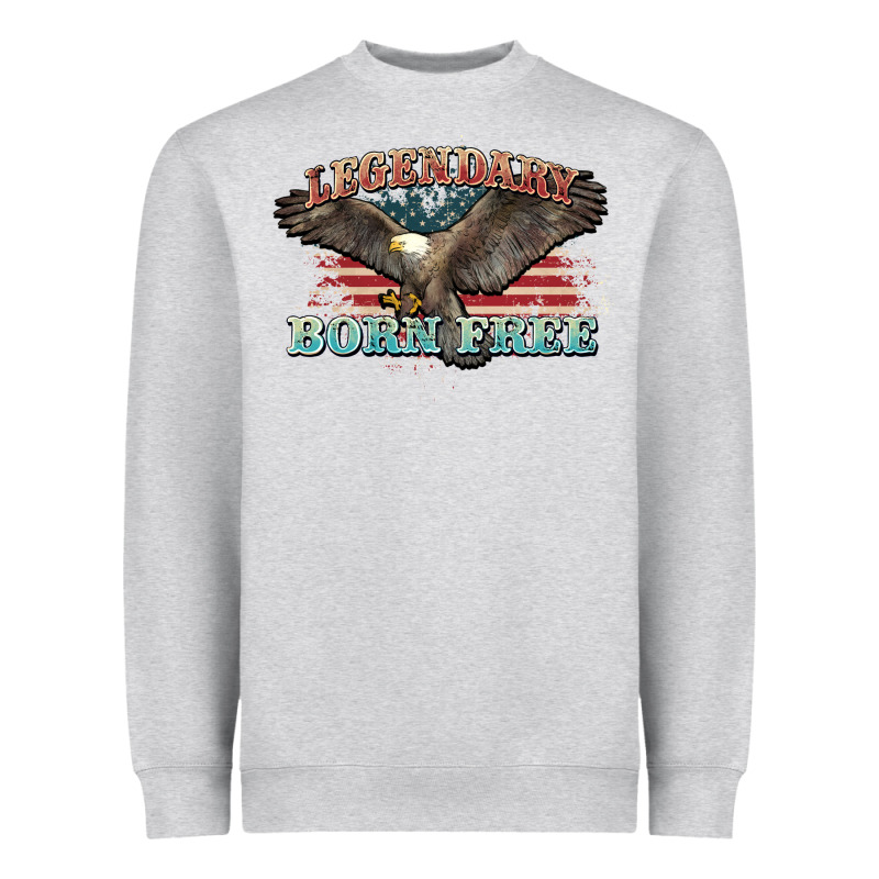 Legendary Born Free Eagle Heavyweight Sweatshirt by NancyCooperArtShop | Teevron
