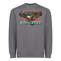Storm legendary born free eagle Heavyweight Sweatshirt - NancyCooperArtShop