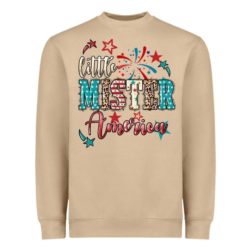Little Mister America Heavyweight Sweatshirt by NancyCooperArtShop | Teevron