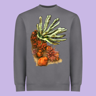 Coral Reef Heavyweight Sweatshirt Designed By Lillyallendesigns