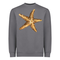 Storm Starfish Heavyweight Sweatshirt - LillyAllenDesigns