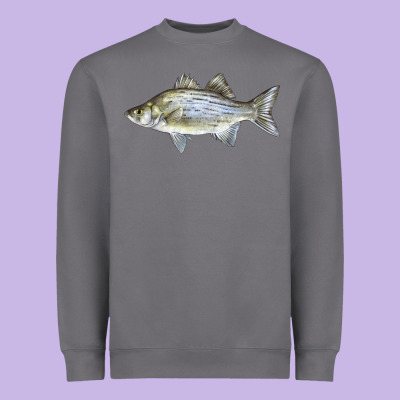 White Bass Fish Illustrations Heavyweight Sweatshirt Designed By Lillyallendesigns
