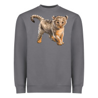 Storm baby lion Heavyweight Sweatshirt - LillyAllenDesigns