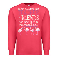 Cardinal We Are More Than Just Teacher Friends We Are Like A Really Small Gang Premium Sweatshirt - Bettercallsaul
