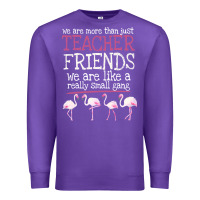 Purple We Are More Than Just Teacher Friends We Are Like A Really Small Gang Premium Sweatshirt - Bettercallsaul