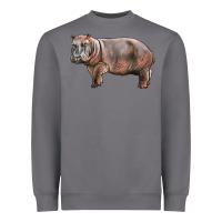 Storm hippopotamus Heavyweight Sweatshirt - LillyAllenDesigns