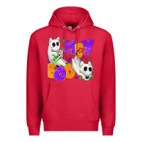 Cardinal Hey Boo with Ghost Cats Premium Hoodie - texasbilliewilder