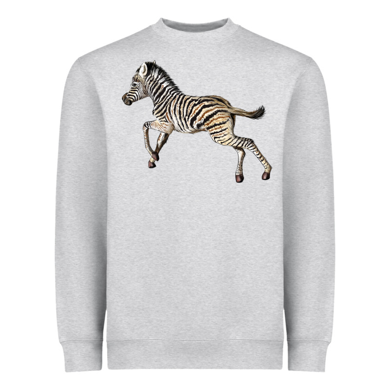 Baby Zebra Heavyweight Sweatshirt by LillyAllenDesigns | Teevron