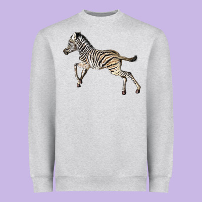 Baby Zebra Heavyweight Sweatshirt Designed By Lillyallendesigns