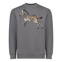 Storm Baby Zebra Heavyweight Sweatshirt - LillyAllenDesigns