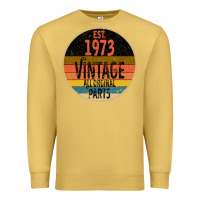 Antique Gold Est 1973 Vintage All Original Parts Premium Sweatshirt - Bettercallsaul