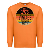 Carrot Est 1973 Vintage All Original Parts Premium Sweatshirt - Bettercallsaul