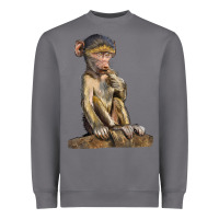 Storm Baby Baboon Illustrations Heavyweight Sweatshirt - LillyAllenDesigns