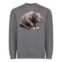 Storm Baby Rhino Illustrations Heavyweight Sweatshirt - LillyAllenDesigns
