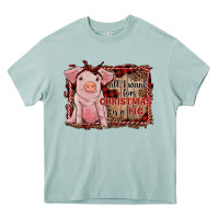 Arona all i want for christmas is a pig sitting pig Heavy Core Tee - RanaPortraitStore