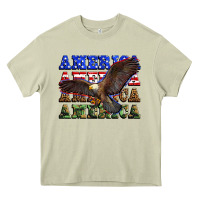 America America America America Heavy Core Tee | Teevron