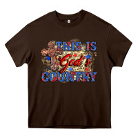Chocolate Brown this is god's country Heavy Core Tee - Zillion Design Studio