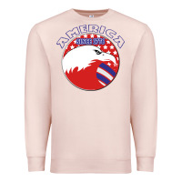 Pale Pink America Since 1776 Premium Sweatshirt - Bettercallsaul